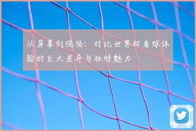 从屏幕到现场：对比世界杯看球体验的巨大差异与独特魅力