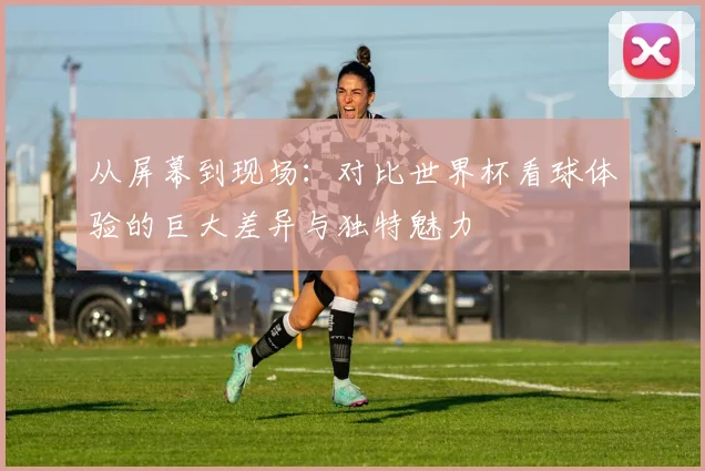 从屏幕到现场：对比世界杯看球体验的巨大差异与独特魅力